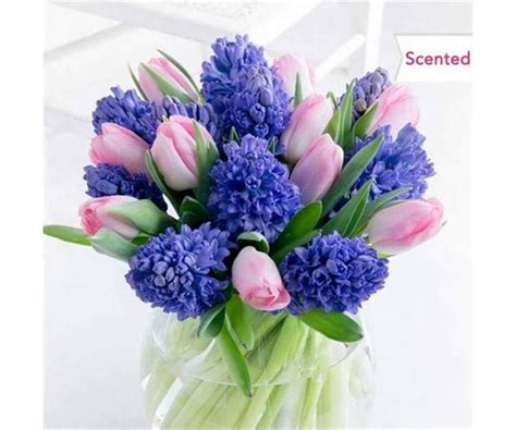 Norma Jean Hall Obituary (2023) - Sylvania, OH - Reeb Funeral Home