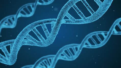 Selecta Biosciences and Asklepios BioPharmaceutical receives US FDA ...