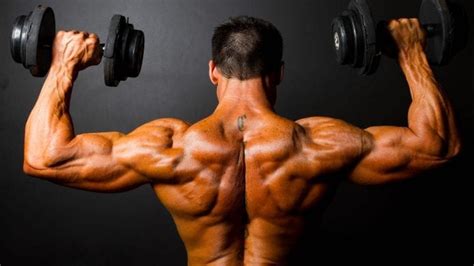 Hombros on sale con mancuernas