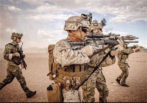 Image result for Assignment Operators Courageous