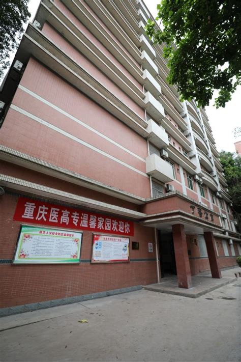 重庆大学毕业证专科和本科代码 - 毕业证样本网