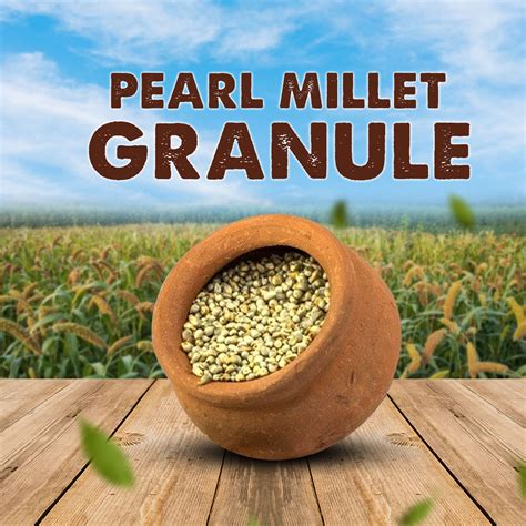 Pearl Millet Granule | Mottu Kambu Kurunai 500g – Ueir Organic Foods