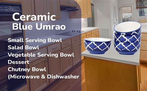 Buy Freakway Hand-Painted Umrao Glossy Ceramic Bowl Set of 4 (150ml ...