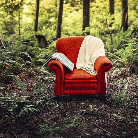 Download Red Chair With Blankets In Forest Wallpaper | Wallpapers.com