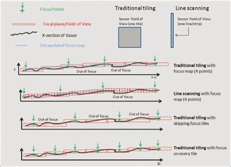 Image result for Deep Tissue Focusing