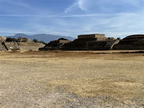 Image result for Monte Python Fish