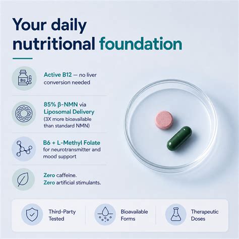 Energy Bundle - Miduty