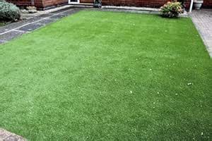 Durva Grass Seeds Pack of 32000 : Amazon.in: Garden & Outdoors