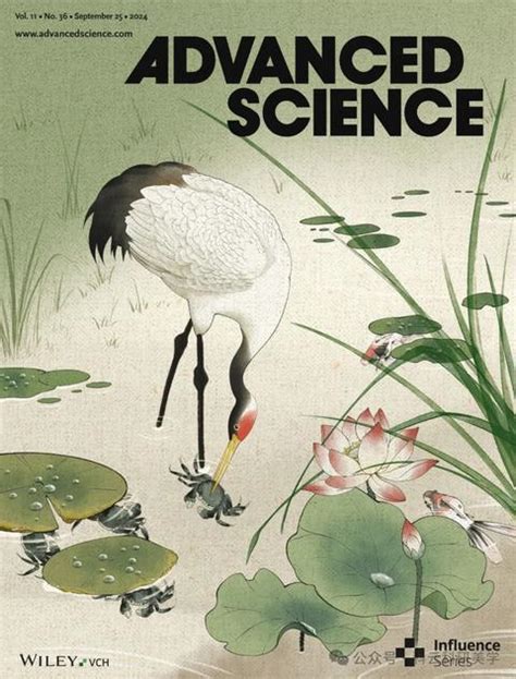 Advanced Science Logo 的图像结果