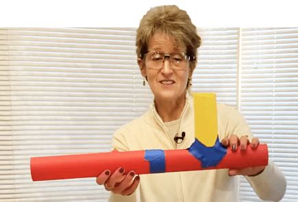 Image result for Science Home Activity