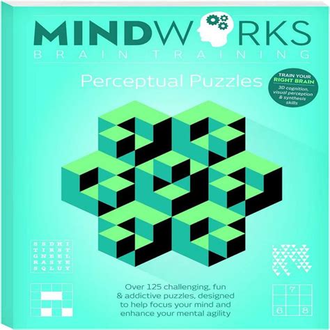 Mindworks Brain Training Perceptual Puzzles — Toycra