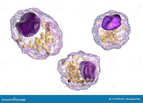 Components Of Lipid Profile Stock Image | CartoonDealer.com #152244943