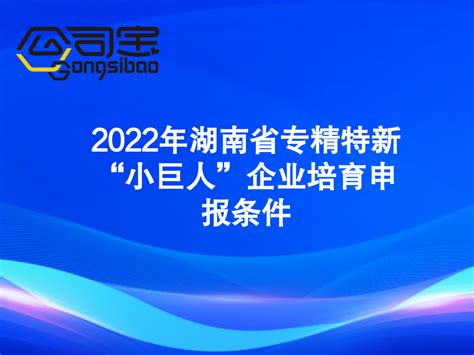 2024年深圳专精特新小巨人企业申请条件、时间及资助标准