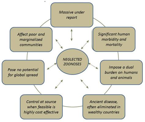 Zoonotic Diseases: Etiology, Impact, and Control