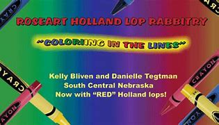 Image result for Black Holland Lop Clip Art