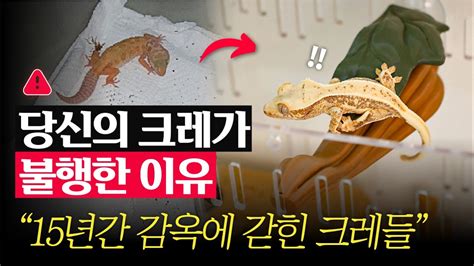 Image result for Alien Predator Shower