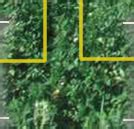 Information System on Organic Livestock Farming