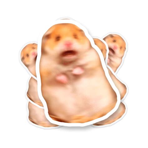 Scared Hamster Meme Sticker, Meme Sticker, Funny Sticker, Scared ...