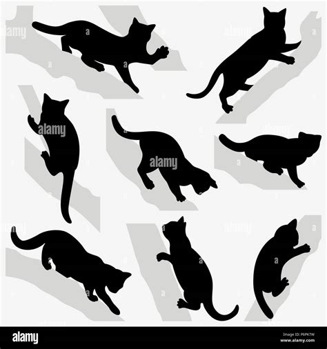 Cats Climbing Silhouette
