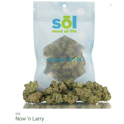Seed of Life Labs - Now 'n Larry Deli Style Flower - Seed of Life Labs