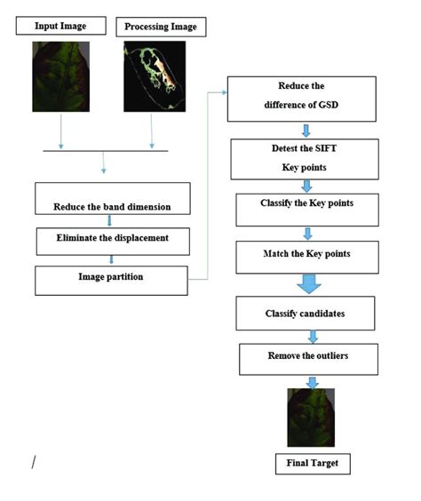 Image result for Matching Process Sampling
