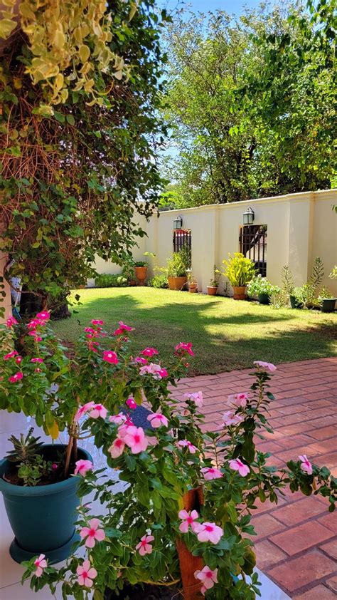 Patio español | Spanish garden, Dream garden, Patio garden