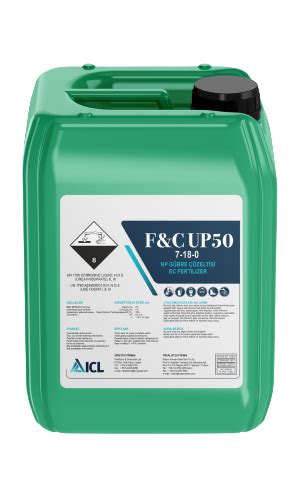 upwild50,where excitement meets opportunity