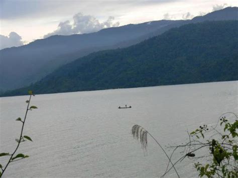 Poso - JungleKey.in Image