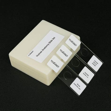 Prepared Human Tissue Anatomy Slides, 16pcs Hand-Prepared Microscope ...