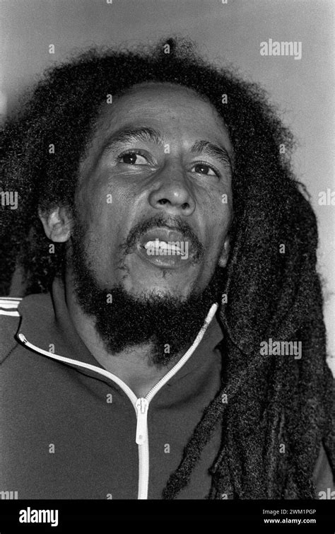 Reggae Musicians 的图像结果