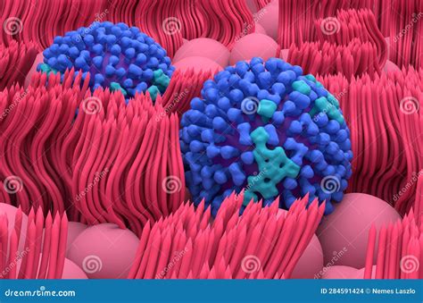 Influenza (flu) Virus on the Nasal Mucosa Lines - Closeup View 3d Illustration Stock ...