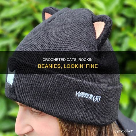 Crocheted Cats: Rockin' Beanies, Lookin' Fine | CyCrochet