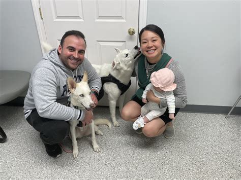 Upper Valley Humane Society Weekly Adoptions