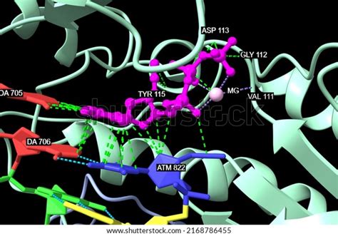 Image result for Transcriptase Inverse Function