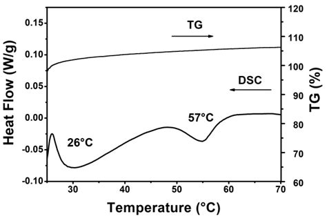 Pharmaceutical Development and Design of Thermosensitive Liposomes ...