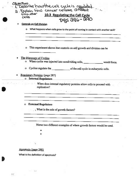 Biology Mitosis Review - BIOL 101 - Studocu