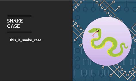 Image result for Snake Case Python