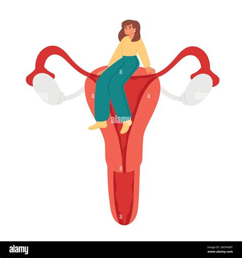 Female reproductive system. Uterus and ovaries. Flat vector illustration Stock Vector Image ...