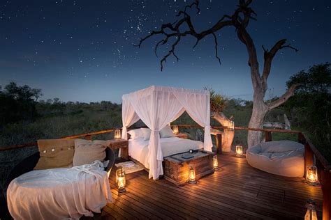 How to turn any Wildlife Safari Trip Romantic