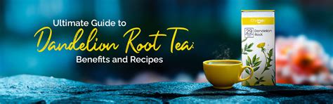 Harness the Power of Dandelion Root Tea: Benefits and Uses - Chymey Teas