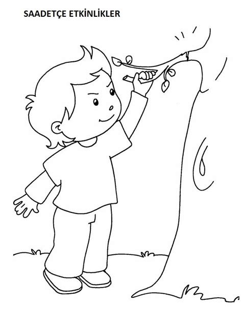 Pin di SAADET ERSOYLU su AĞAÇ VE ORMAN | Educazione ambientale ...