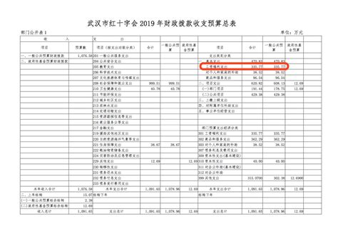 武汉红十字会：员工12名，月均工资福利2.3万元！-中国项目城网
