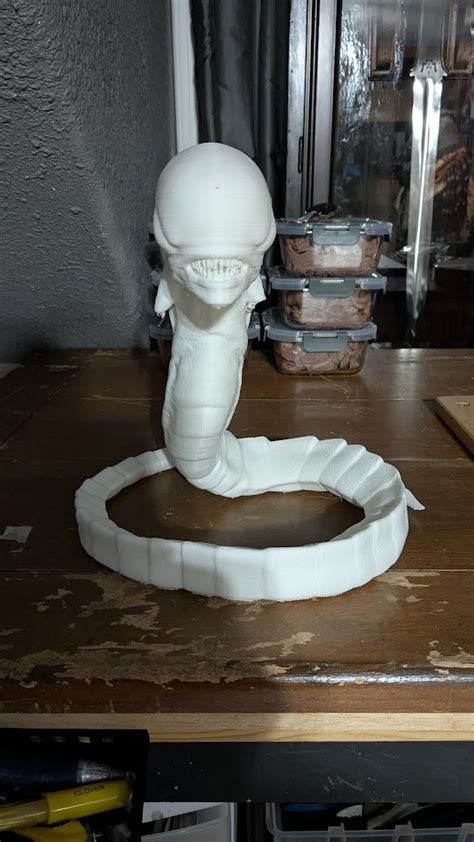 Image result for Alien Chest