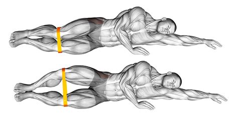 Image result for Clamshell Exercise