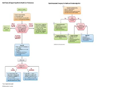 Basic Life Support Algorithm for Healthcare Providers (BLS 2025) - Studocu