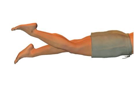 Front Crawl Swimming 的图像结果