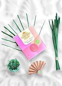 PUSHPVRIND Natural Lemongrass Incense Cones | Organic | 100% Charcoal ...