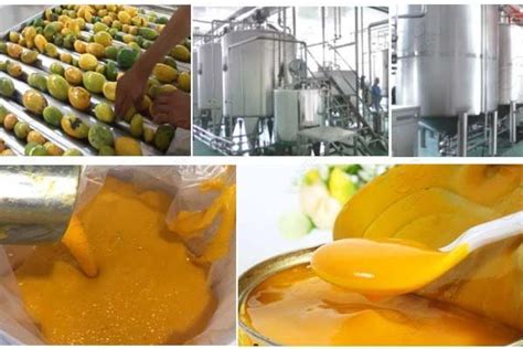 Mango Pulp Process 的图像结果