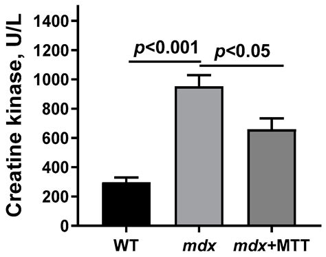Mitochondrial Transplantation Therapy Ameliorates Muscular Dystrophy in ...