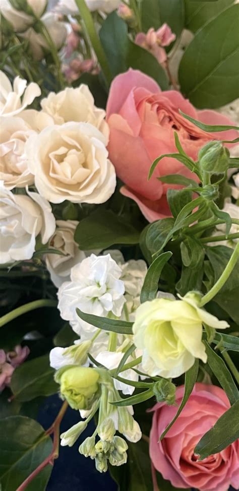 Winter House Flowers | Holden MA